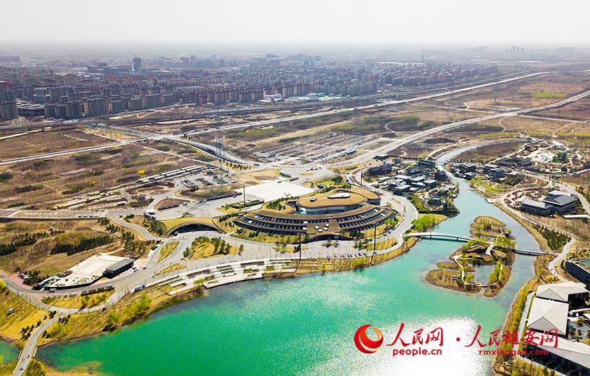 航拍雄安郊野公園。人民網(wǎng)宋燁文攝