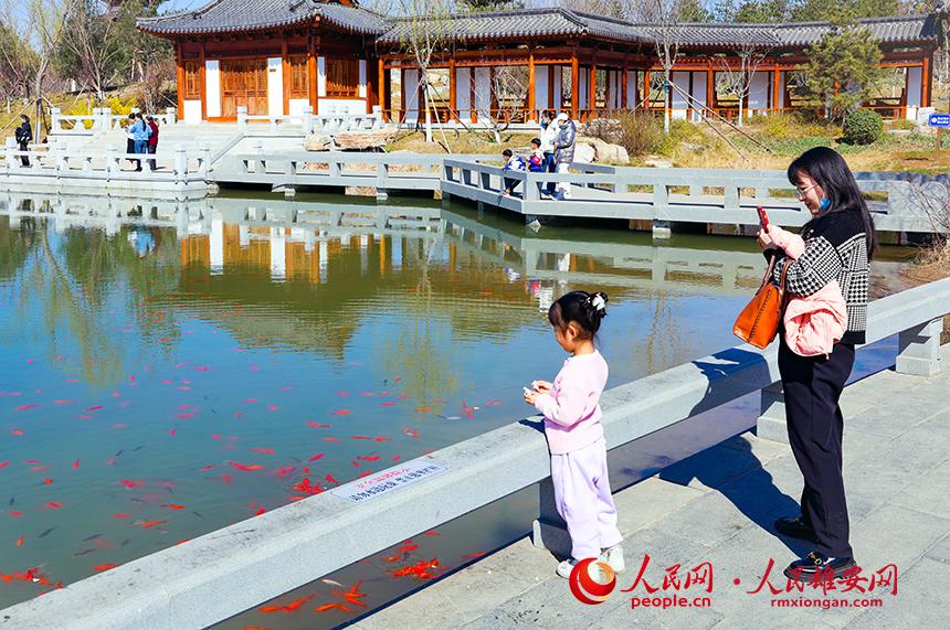 雄安悅?cè)莨珗@一角，不少家長(zhǎng)帶著孩子前來游玩。人民網(wǎng)宋燁文攝