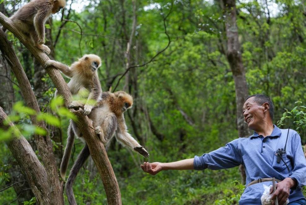 首次立法！國家公園筑起“法治屏障”